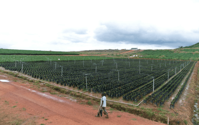 drone photo of farm